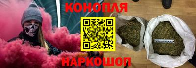 кокс Кингисепп