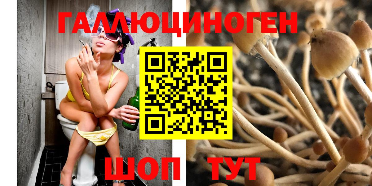 Галлюциногенные грибы прущие грибы Ефремов