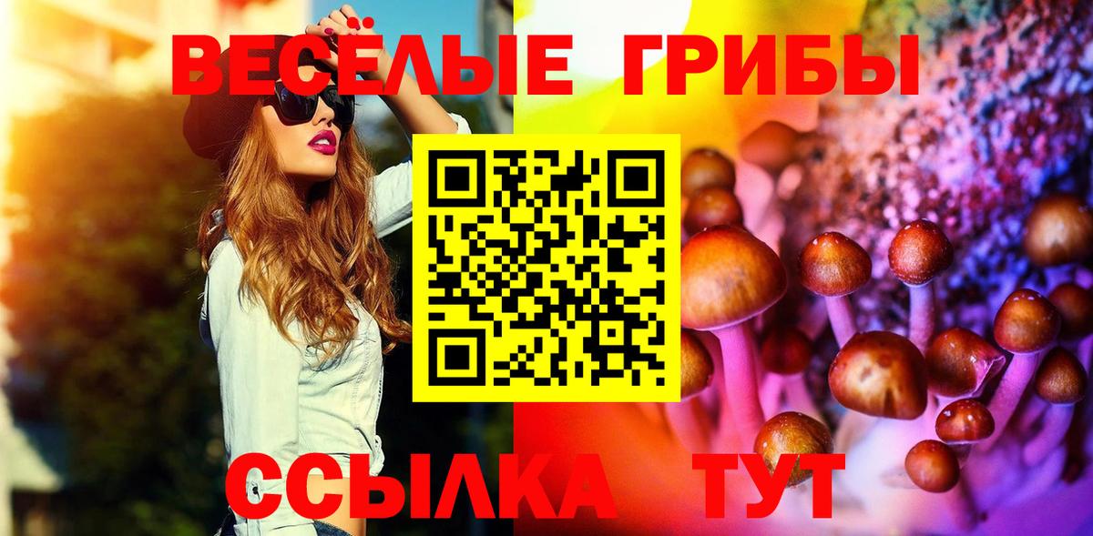 закладки  Псилоцибиновые грибы мицелий  Вход с VPN  Ефремов 