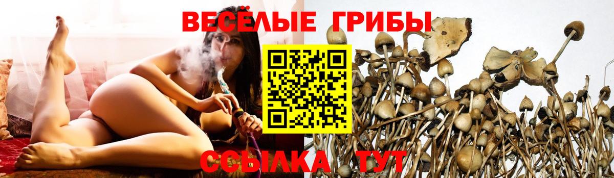 Гашиш Ефремов